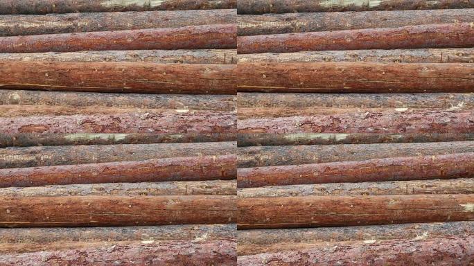 森林砍伐木材工业