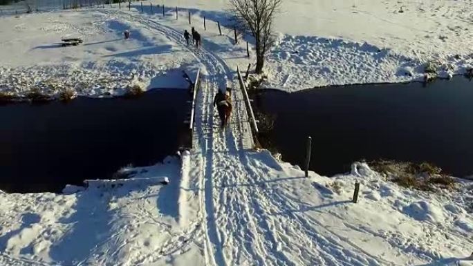 桥上的马桥上的马雪景