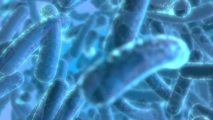 蓝色透明细菌益生菌人体内动画特效