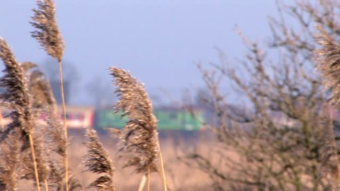 火车沿着贫瘠的田野行驶