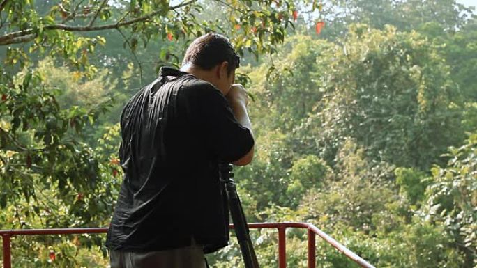 野生动物摄影师在雨林丛林中拍摄鸟类的照片