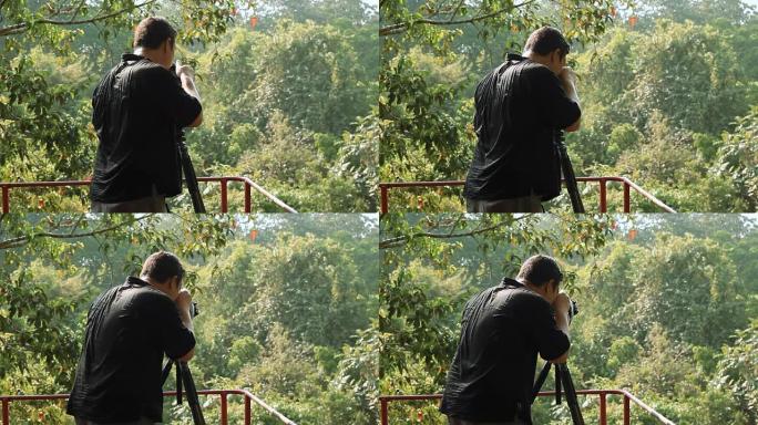 野生动物摄影师在雨林丛林中拍摄鸟类的照片