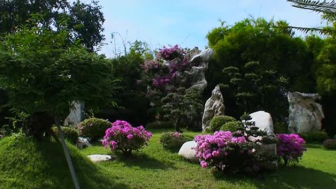 热带花园-缩小
