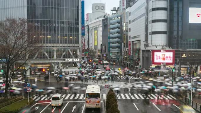 高清延时：行人在涩谷十字路口与降雨