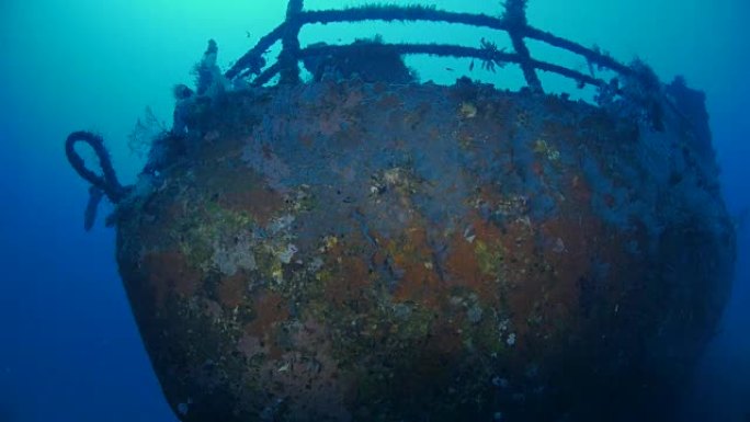 Soft coral grow on bow of Boga Shipwreck, Kubu (4K