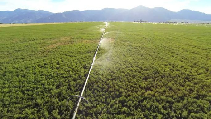 农业领域正在浇水