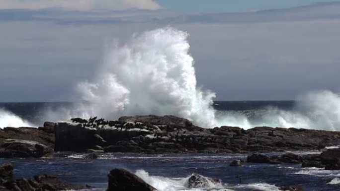 波浪撞击岩石大海边浪花海岛拍打石头礁石