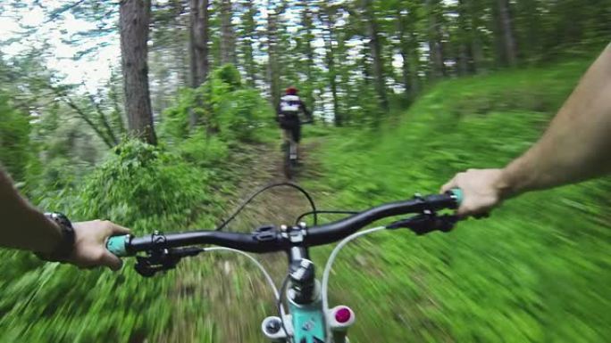 山地自行车视频：森林中的单车道