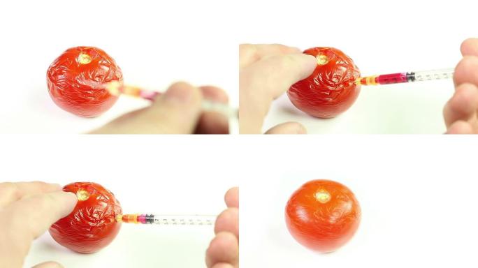 基因改造-番茄基因改造-番茄