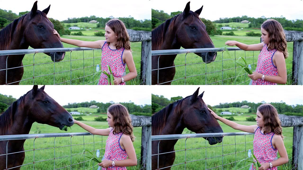 十几岁的女孩拍过农场围栏上的马