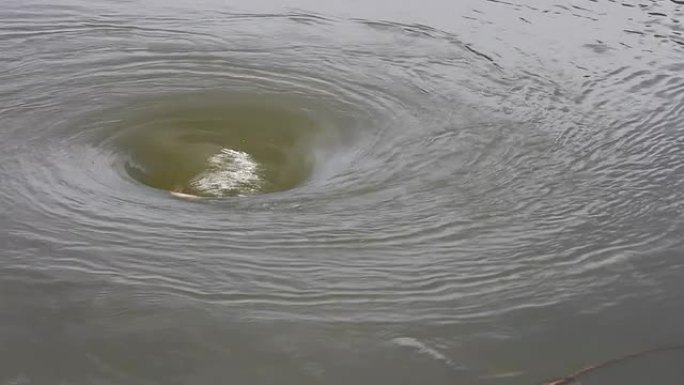 水坑。水坑旋涡