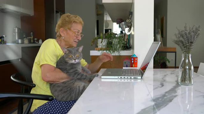 老年妇女使用笔记本电脑时，胖猫在怀里