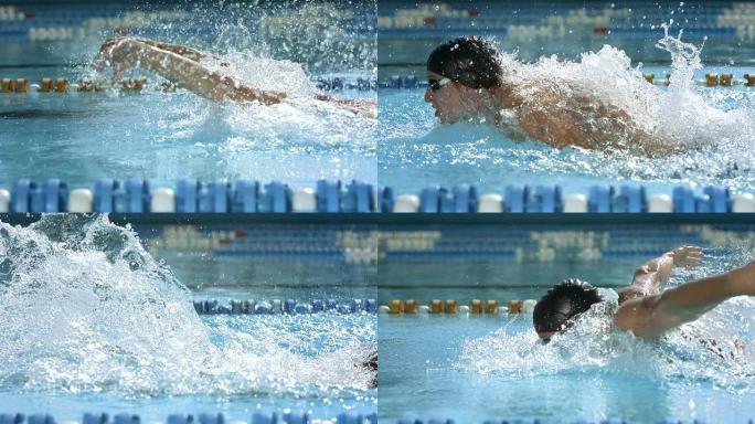 高清慢动作: 男子游泳蝶泳