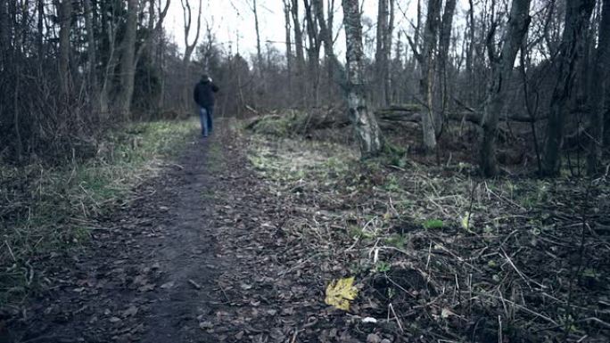 森林路径森林走路一个男人背影视频素材