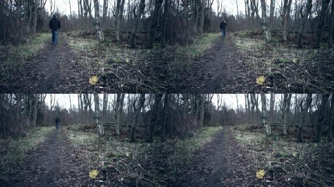 森林路径森林走路一个男人背影视频素材