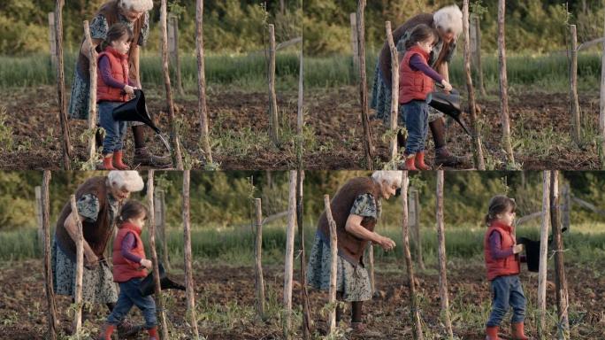 真人 -- 高龄女人和小女孩种西红柿，农村场景