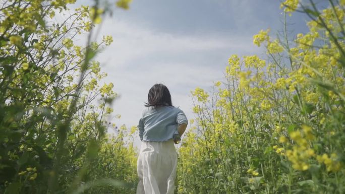 白裙美女油菜花林自由奔跑追逐梦想浪漫爱情