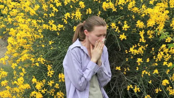 春季开花过敏春季开花过敏花粉