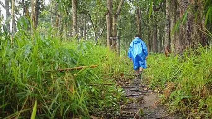 男人在雨中走在林木小径上