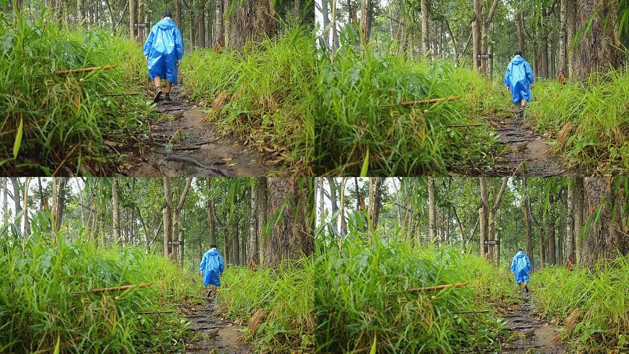 男人在雨中走在林木小径上
