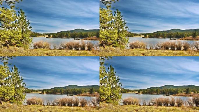 湖泊和绿色