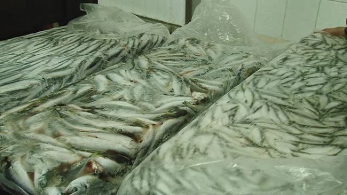 冷冻鱼类的储存冷冻鱼类的储存