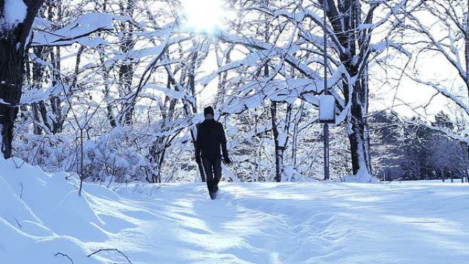 漫步在冬季景观中