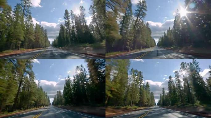 森林行车记录街拍车载镜头