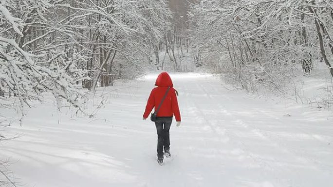 初雪漫步乐趣无穷雾凇挂满枝头林间小路雪地