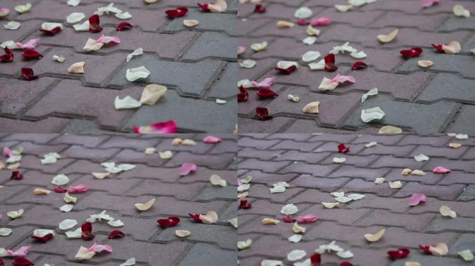 人行道上的玫瑰花瓣
