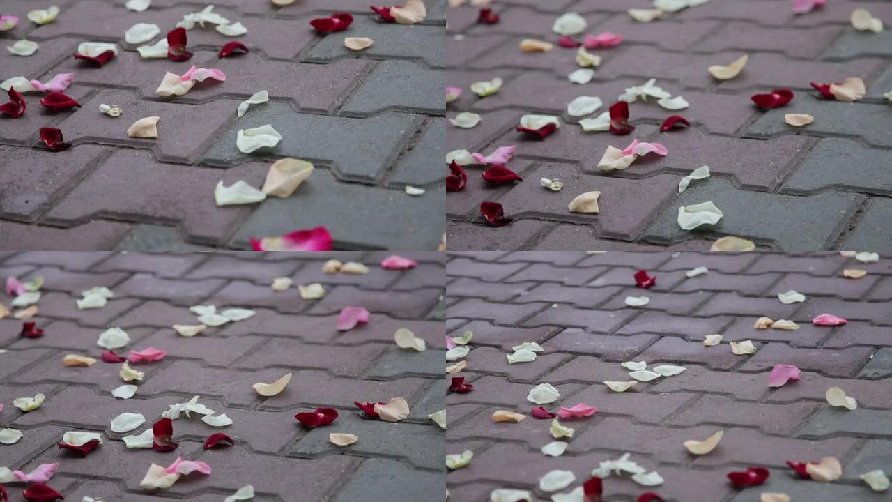 人行道上的玫瑰花瓣