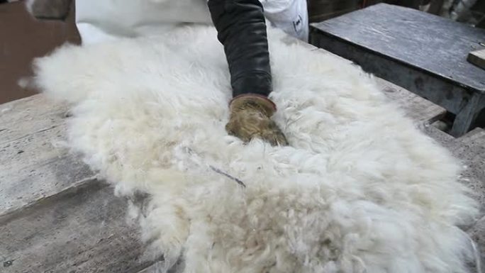 刷羊肉毛革羊皮处理