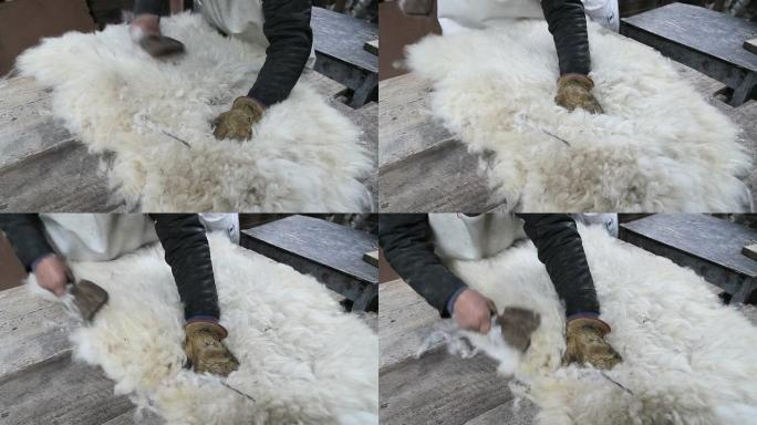 刷羊肉毛革羊皮处理