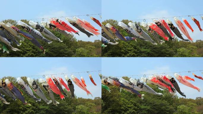 鲤鱼旗飘动日本传统日本文化