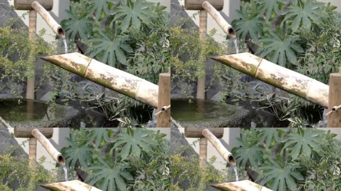 NTSC：日本花园中的竹子喷泉（视频）