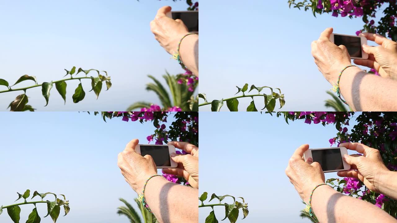 人的手拍照片的特写镜头，海洋和鲜花