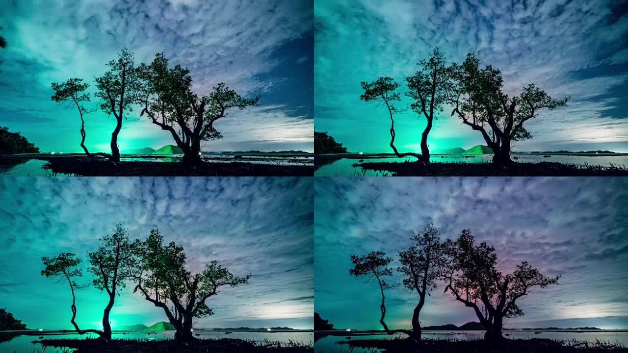 水中的夜树时间流逝4K