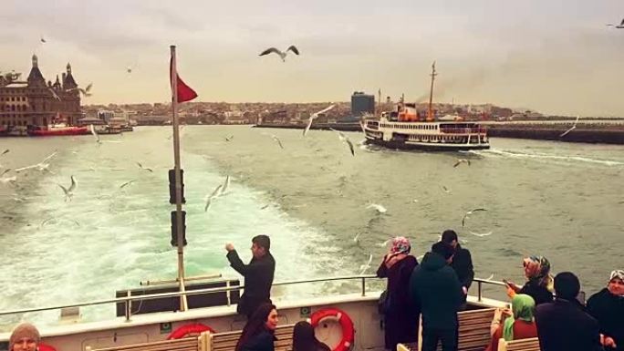 伊斯坦布尔的慢动作海鸥