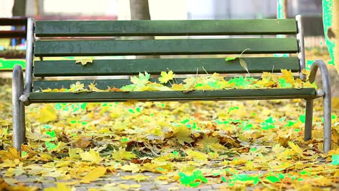公园里的长凳，秋天的叶子，秋天
