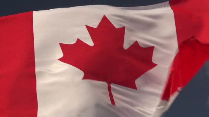 超慢动作高清-加拿大国旗特写