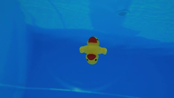 黄色橡皮鸭漂浮在游泳池的水下