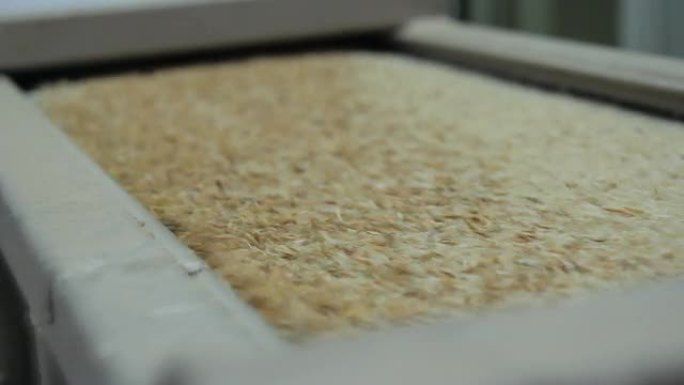 HD：碾米工业流程