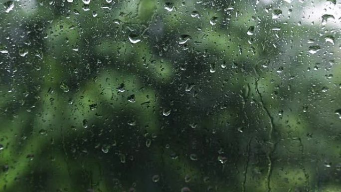 车内自然景观中的雨水