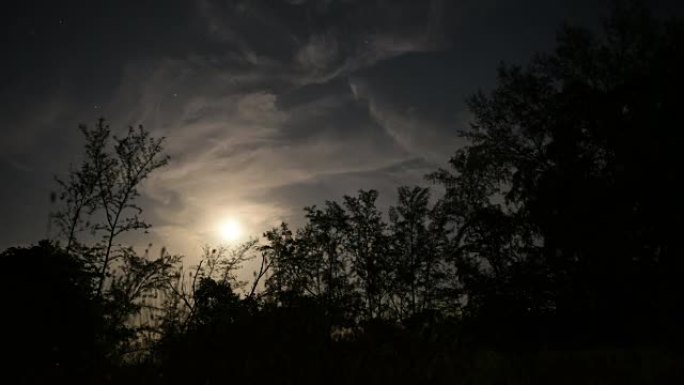 神秘森林的剪影在夜晚的戏剧性天空中