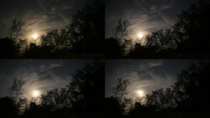 神秘森林的剪影在夜晚的戏剧性天空中