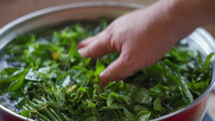 制作中国清明节的传统食物五色糯米饭的工序