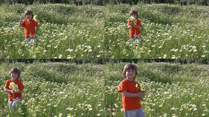 小男孩在采花夏季夏天野外公园鲜花野花盛开