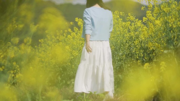 白裙女生田间慢步背影小清新唯美意境踏青