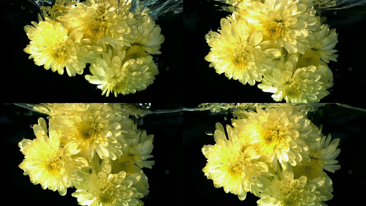 黄色花朵落入水中
