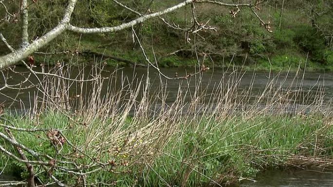 苏格兰乡村景色，河流缓慢流动